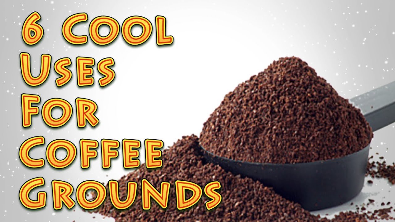 The 6 Creative Ways to Use Old Coffee Grounds