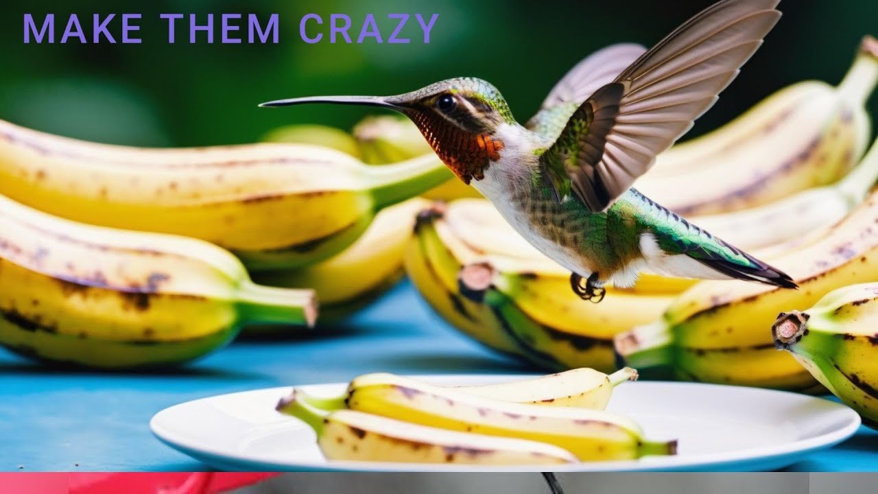 Overripe Banana Is the Secret of Attracting More Hummingbirds to Your Yard