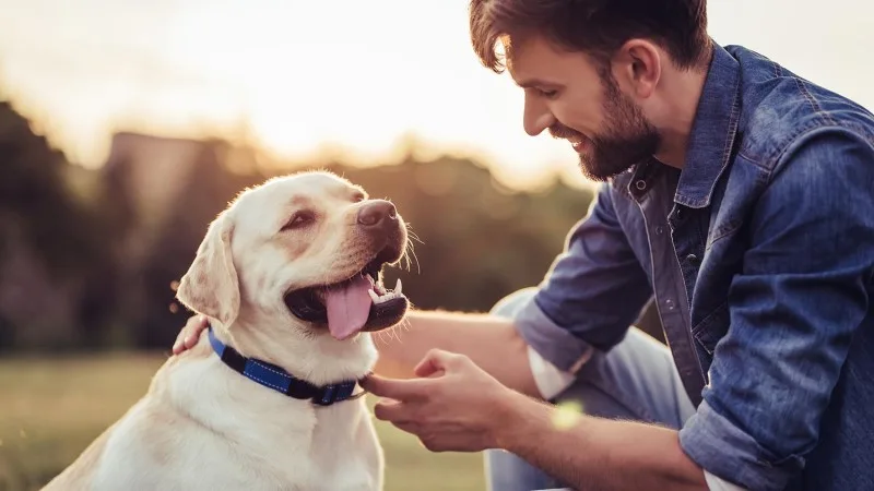 Building a Strong Bond with Your Dog