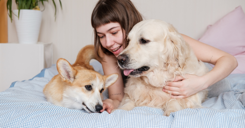 Common Myths About Dog Parenting